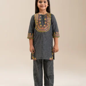 2 piece ethnic embroidered suit