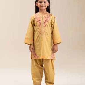 Home 2 piece embroidered suit