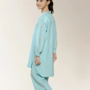 embroidered sky blue girls 2pc