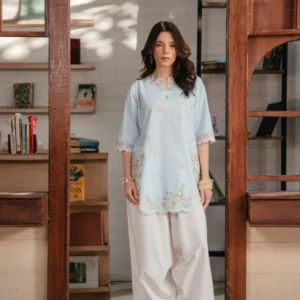 mehar 2 pcs embroidery