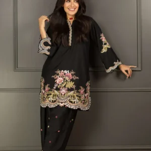 mehar 2 pcs embroidery